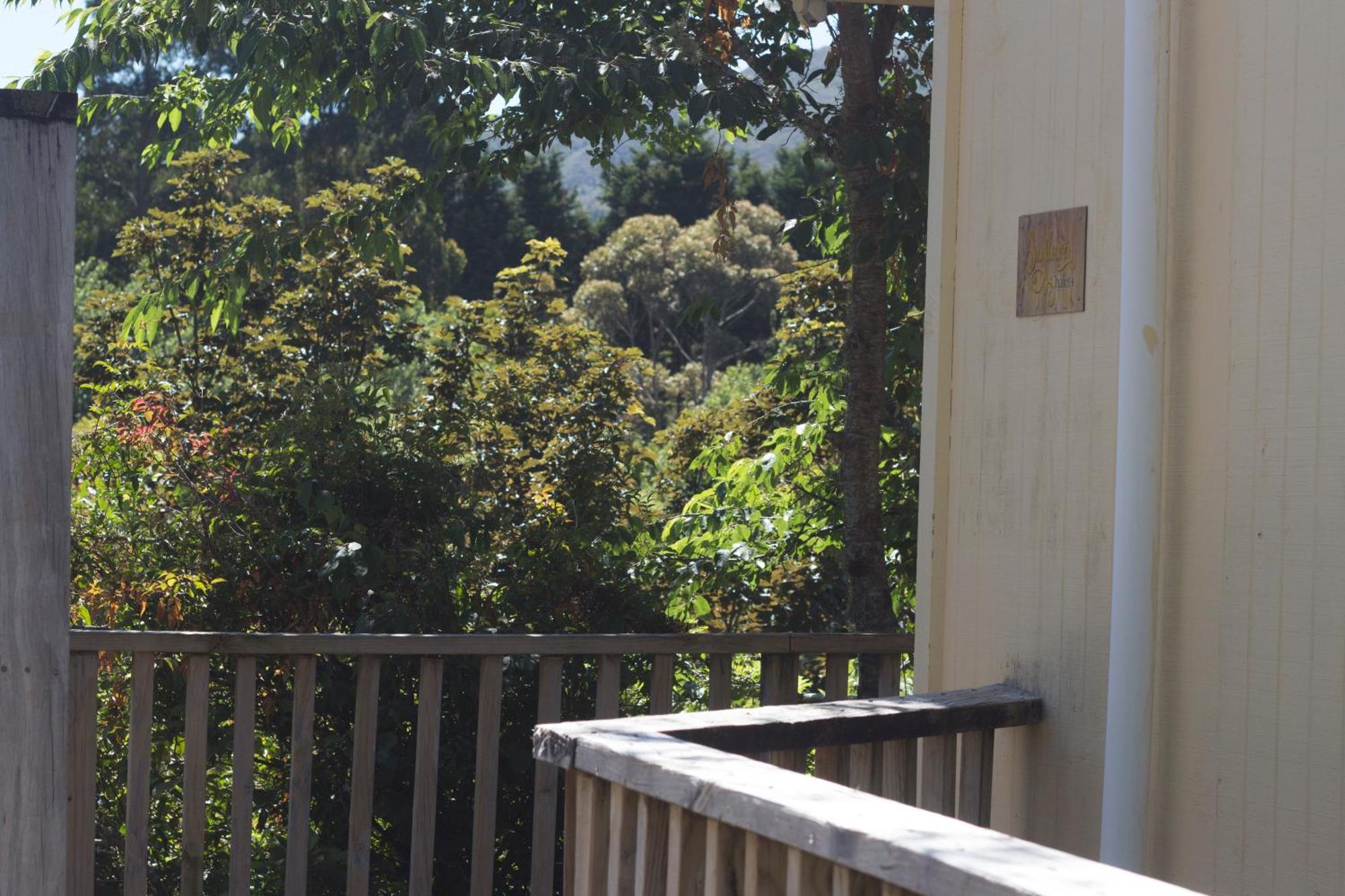 Aston Norwood Chalets Upper Hutt Exterior foto